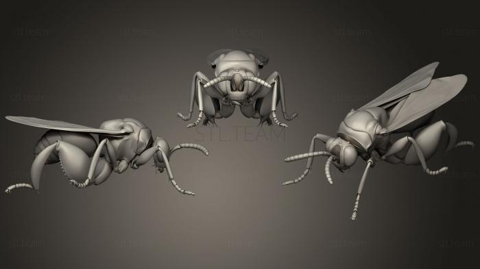 Статуэтки животных Insect beetles 7